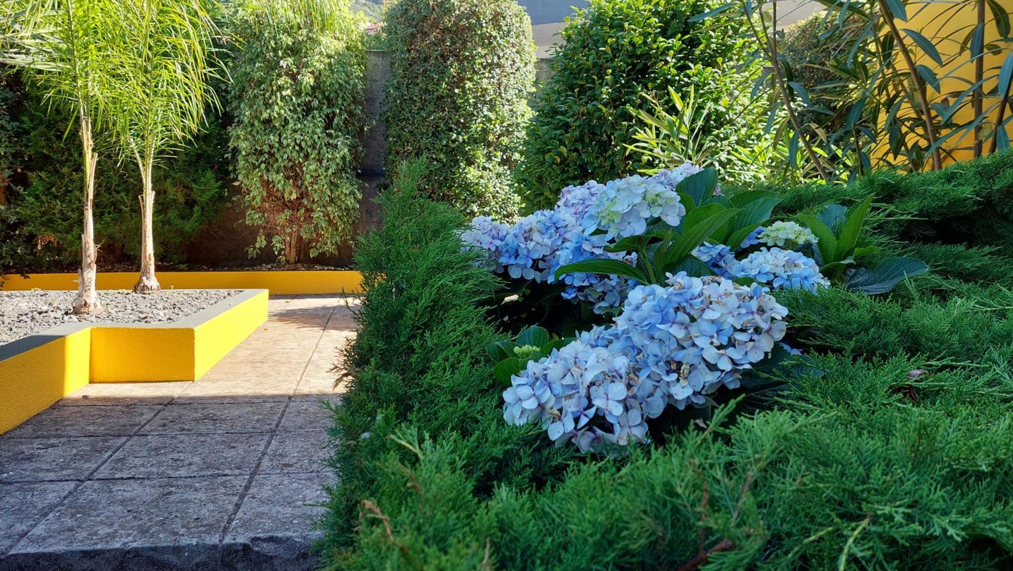 Villa Strelitzia ฟุงชาล ภายนอก รูปภาพ